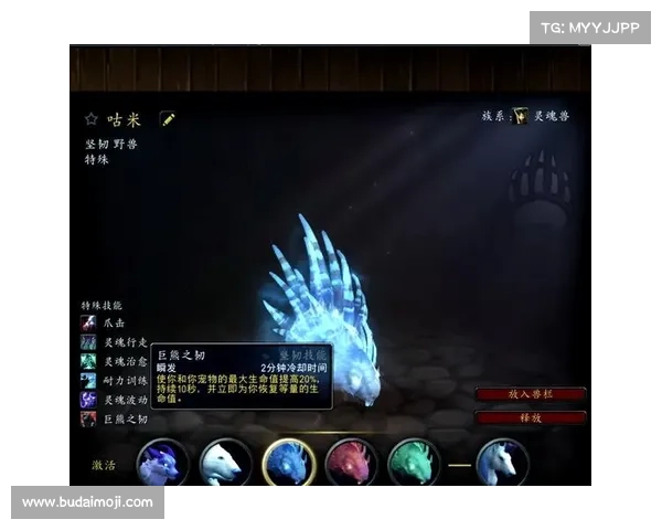 查看魔兽版本的方法大揭秘 查看魔兽版本的方法大揭秘